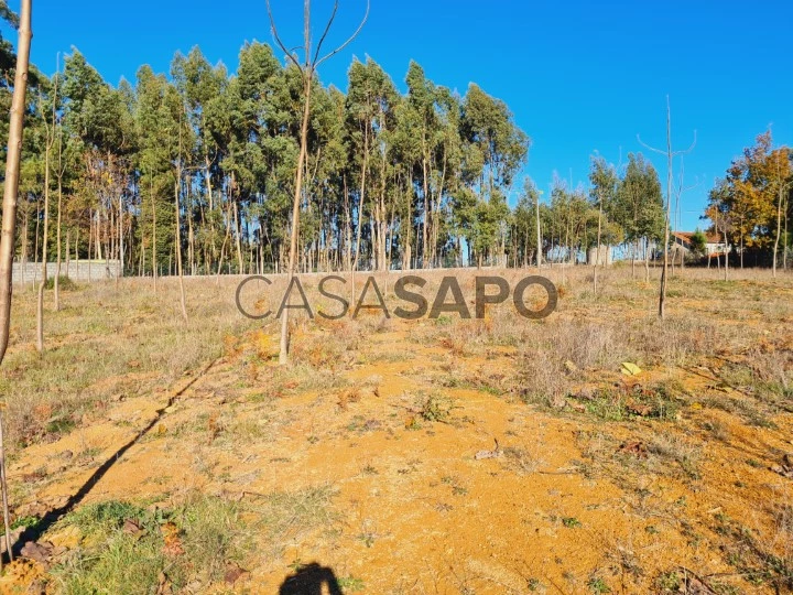 Terreno para comprar em Figueiró dos Vinhos