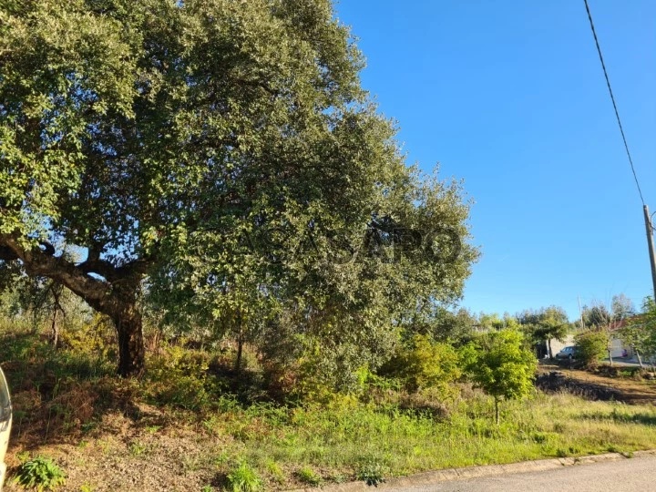 Terreno Rústico para comprar em Pedrógão Grande