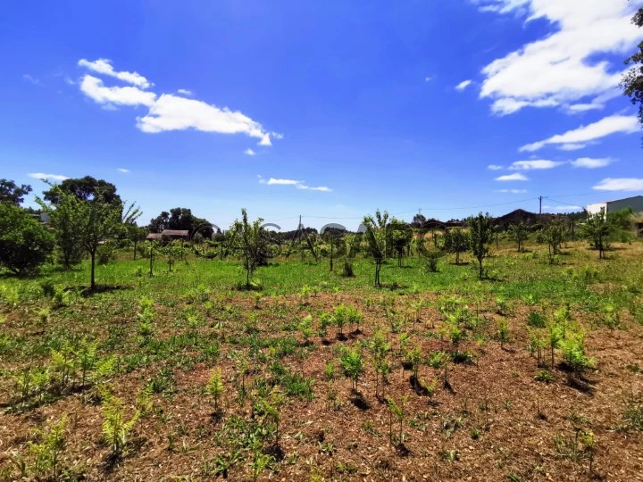 Terreno Rústico para comprar em Pedrógão Grande