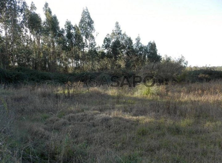 Terreno Rústico para comprar em Oliveira de Azeméis