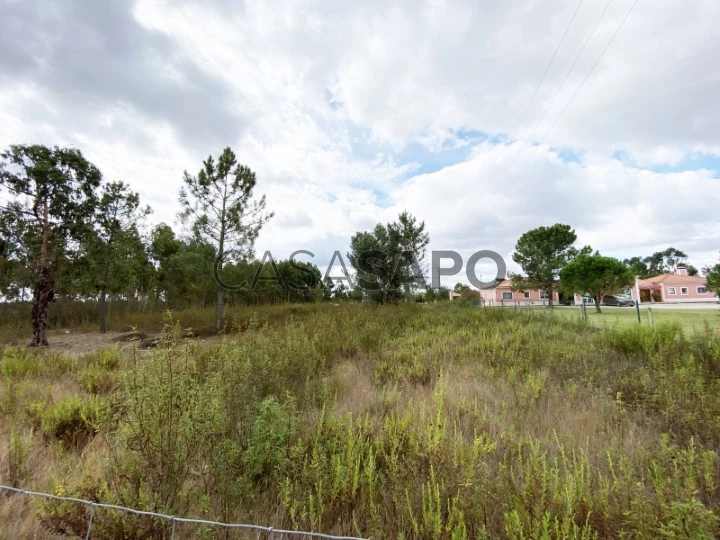 Terreno com 4910m2 - projecto aprovado para uma moradia T5