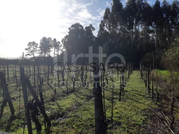 Terreno para comprar em Oliveira do Bairro