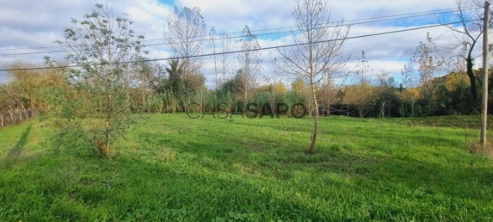 Terreno para comprar em Leiria