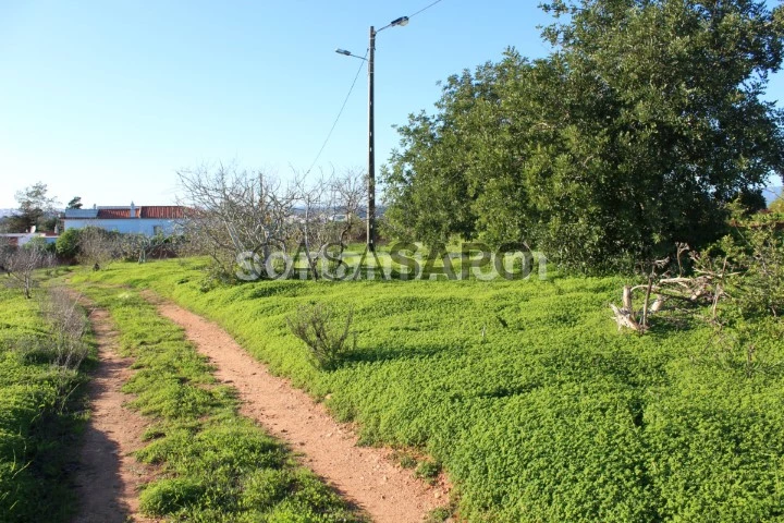 Terreno Rústico para comprar em Lagoa