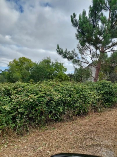 Terreno Urbano para comprar em Leiria