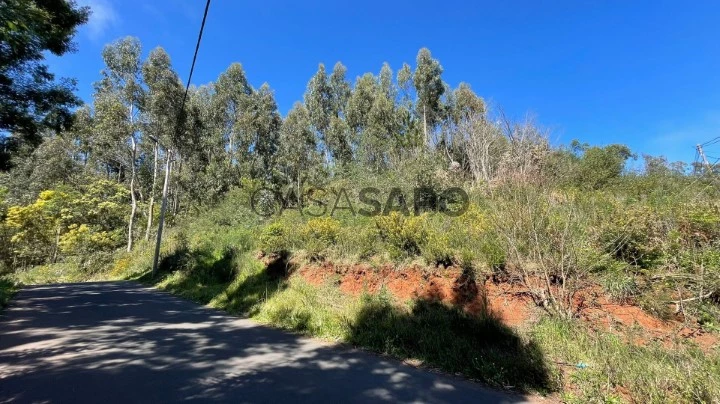 Terreno Rústico para comprar em Santa Cruz