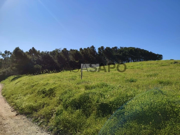 Terreno para comprar em Vila do Bispo