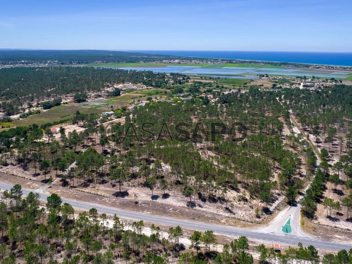 Terreno para comprar em Alcácer do Sal