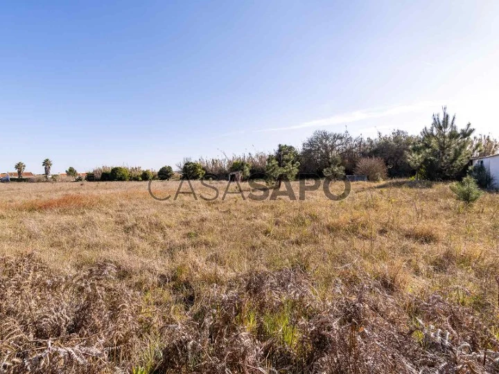 Terreno para comprar em Alcácer do Sal