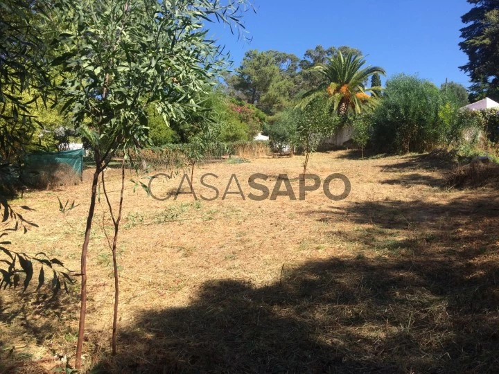 Terreno Urbano para comprar em Albufeira