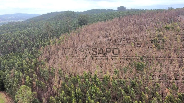 Terreno para comprar em Vila do Conde