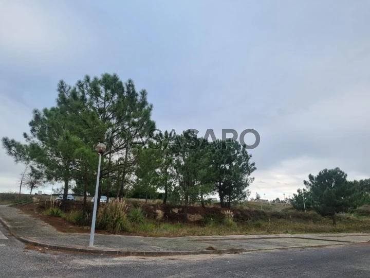 Terreno para comprar em Torres Vedras