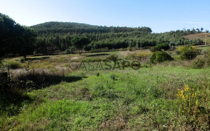 Terreno Urbano para comprar em Torres Vedras