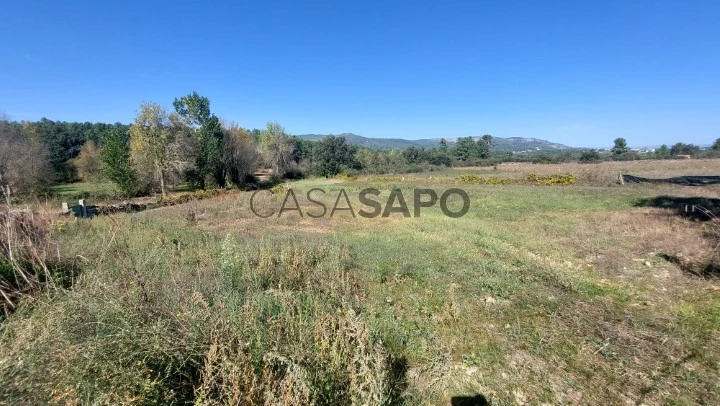 Terreno Rústico para comprar em Chaves