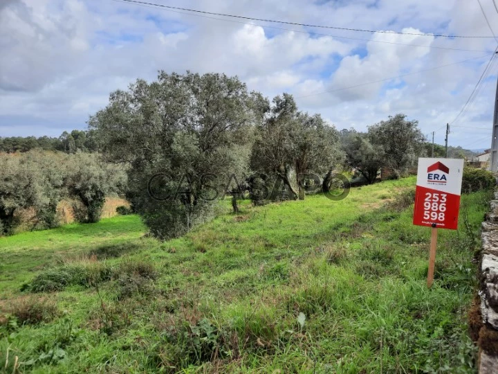 Terreno para comprar em Esposende