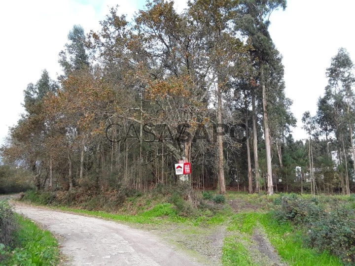 Terreno para comprar em Esposende