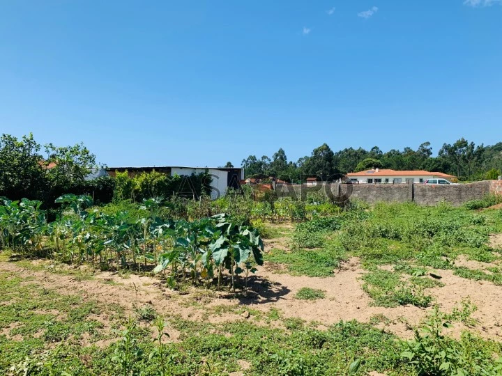 Terreno para comprar em Esposende