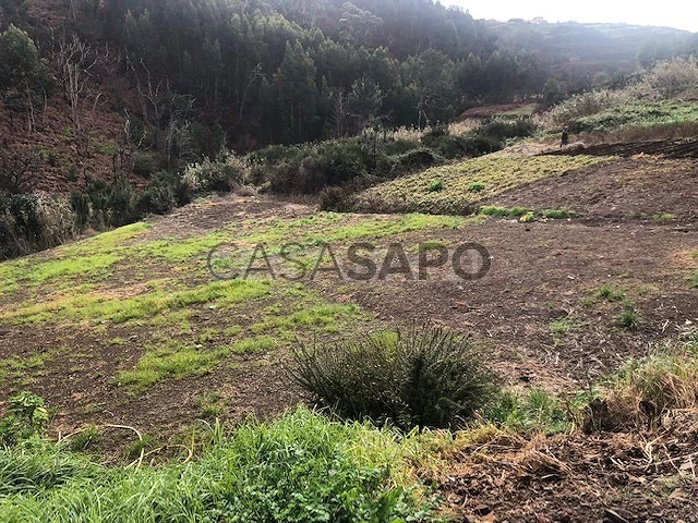 Terreno para comprar em Calheta (Madeira)