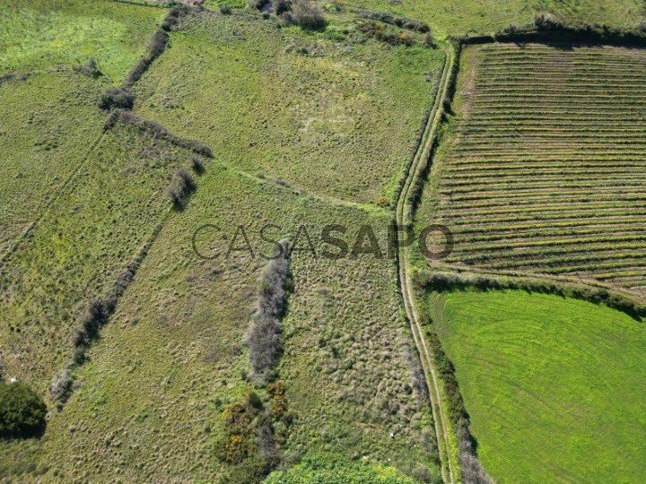 Terreno Rústico para comprar em Arruda dos Vinhos