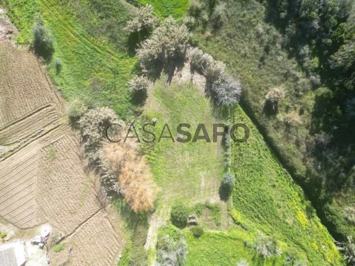 Terreno Rústico para comprar em Arruda dos Vinhos