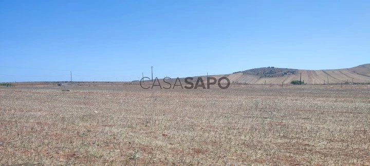 Terreno Rústico para comprar em Vila do Bispo