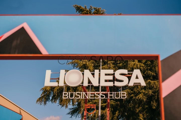 Lionesa 2