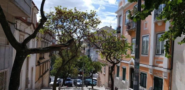 Apartamento T4 Triplex para comprar em Lisboa