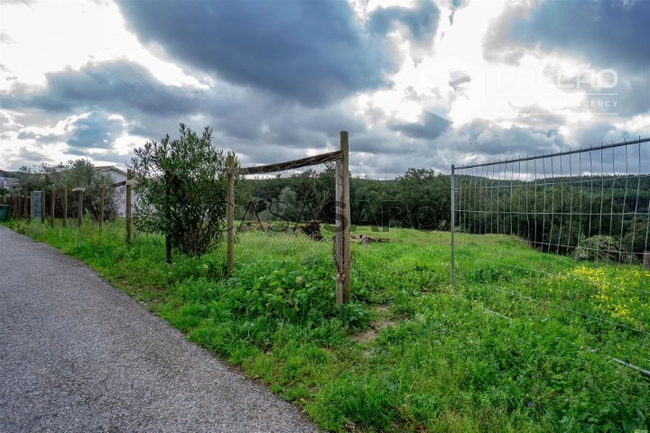 Terreno para comprar em Rio Maior