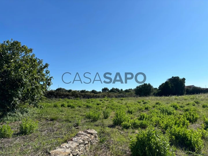 Plot of land with PIP approved na Ericeira | Wallis Real Estate