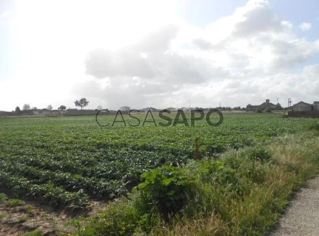 Terreno Misto para comprar no Montijo