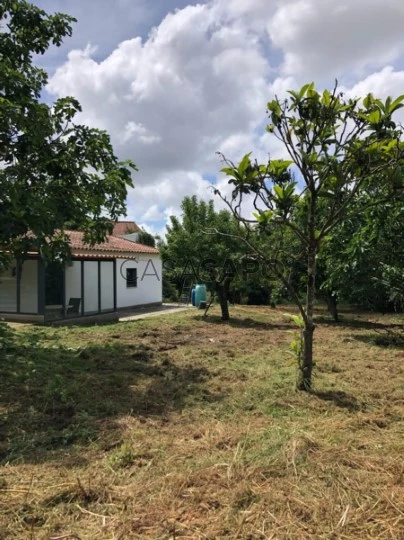 Terreno Rústico para comprar em Torres Vedras