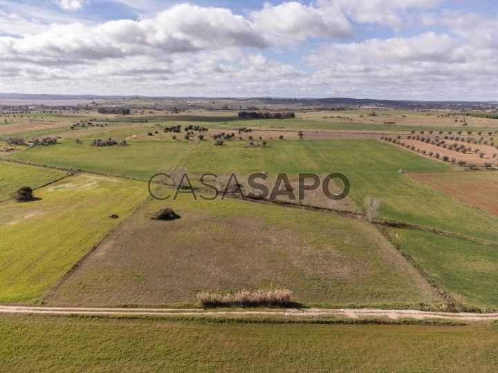 Terreno | Boca de Rega | Água do Alqueva | Rustiévora | Venda | Évora | Alentejo