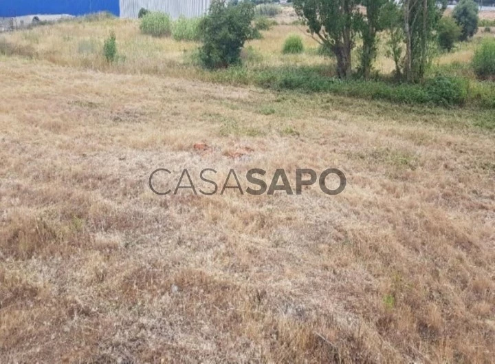 Terreno para comprar em Alenquer