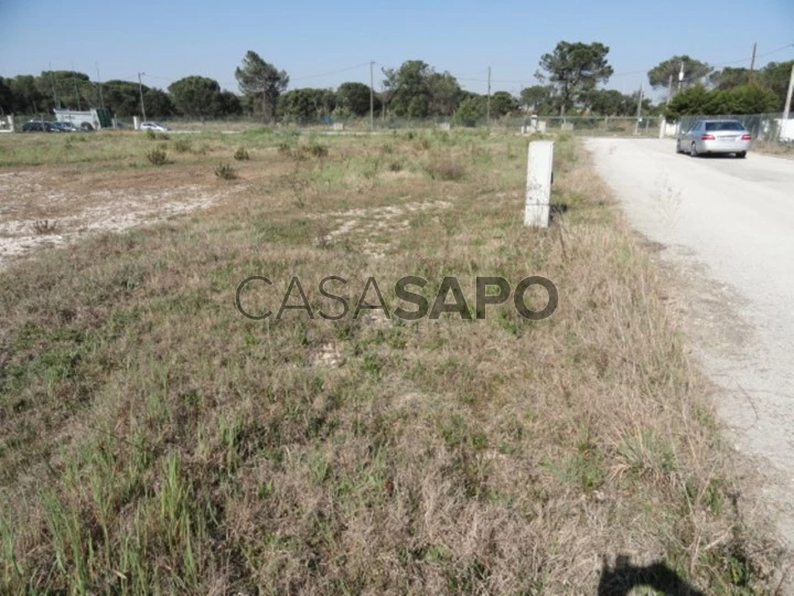 Lote Industrial para comprar em Benavente