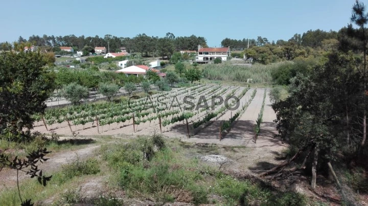 Terreno Rústico para comprar na Azambuja