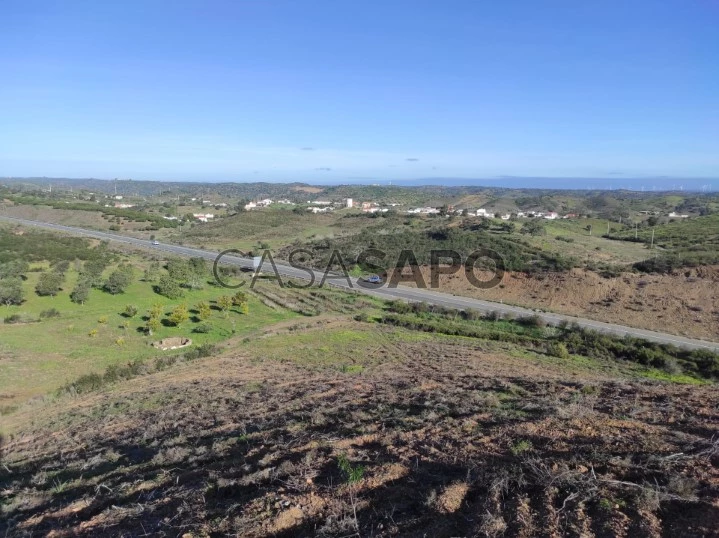 Terreno-2.9 HECTARES-#Junqueira#CastroMarim#CASASDOSOTAVENTO (10)