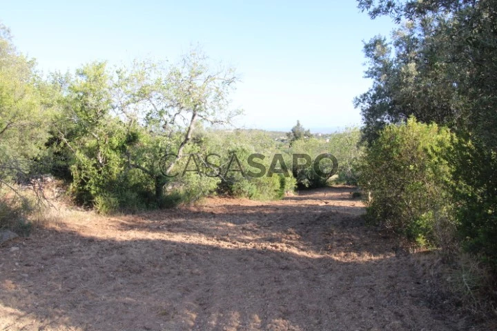 Terreno Misto para comprar em Faro