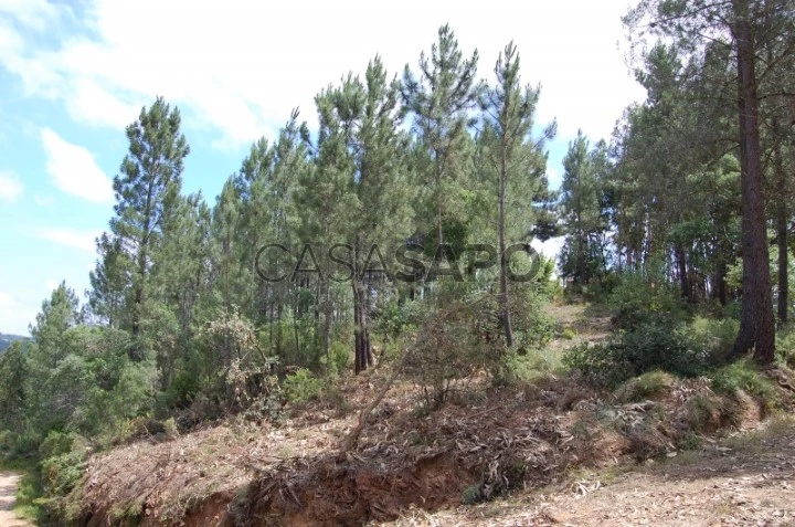 Terreno sem viabilidade de construção, na zona de Olalhas.