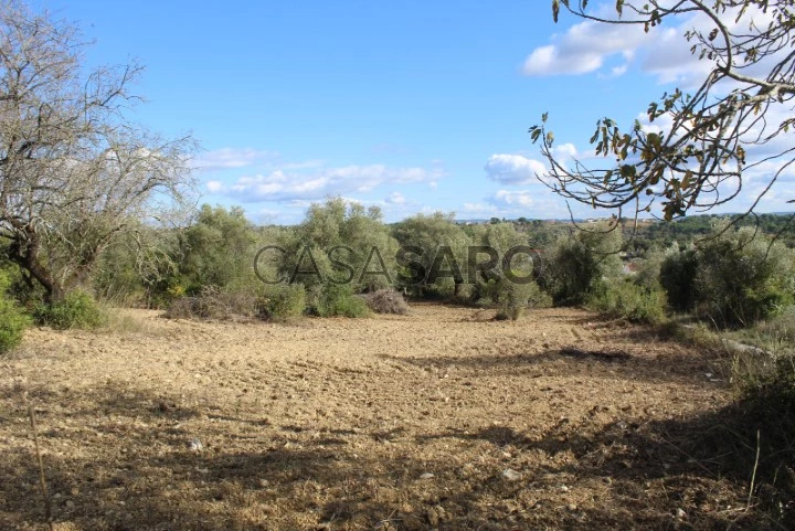 Terreno para comprar em Tomar