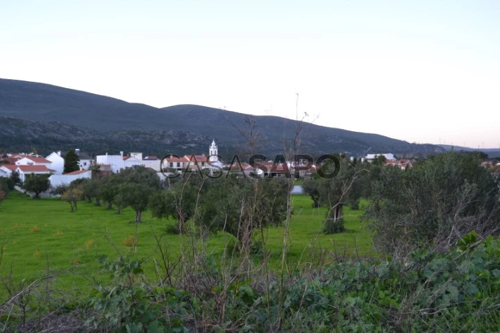 Terreno Comercial para comprar em Torres Novas