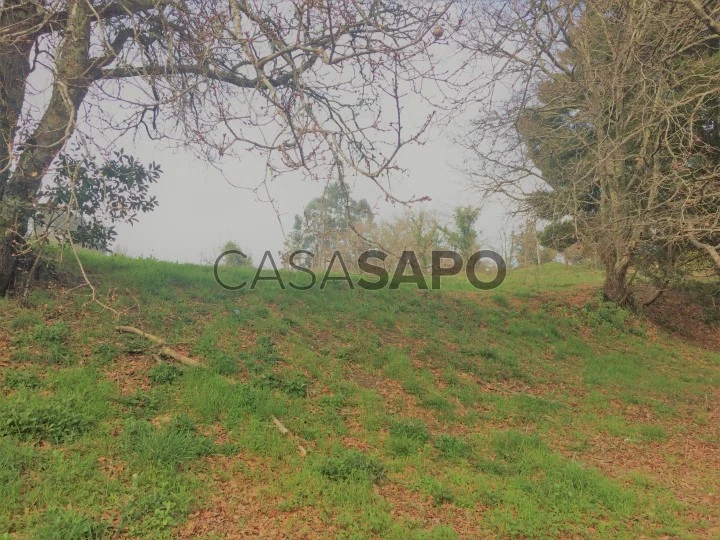 Terreno para comprar em Caminha