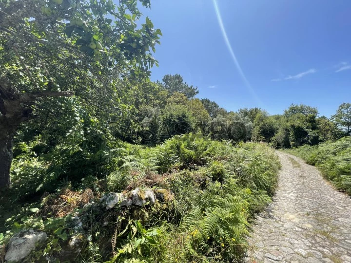 Terreno para comprar em Viana do Castelo