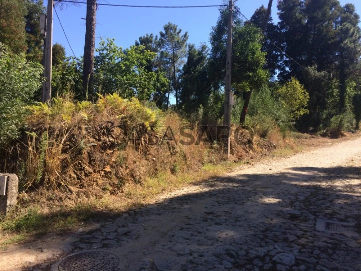 Terreno para comprar em Caminha