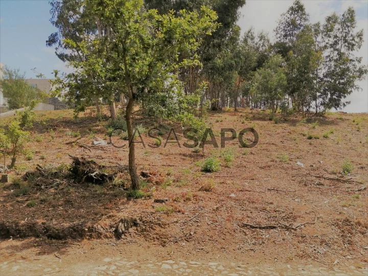 Terreno para comprar em Caminha