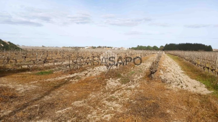 Terreno Urbano para comprar em Palmela