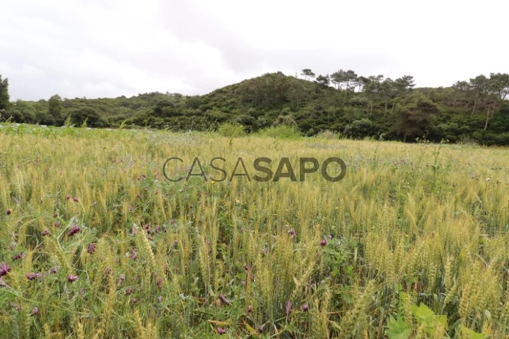 Terreno Rústico para comprar em Mafra