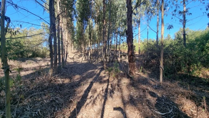 Terreno para comprar em Mafra