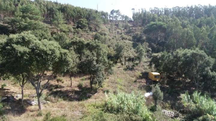 Terreno Rústico para comprar em Torres Vedras