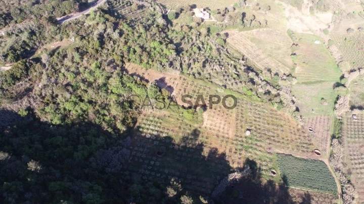 Terreno Rústico para comprar em Mafra