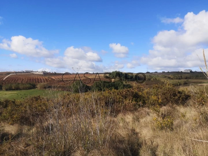 Terreno para comprar em Mafra